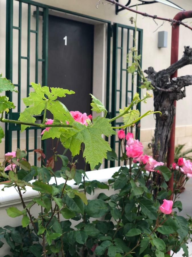 La Collinetta Dei Sassi Βίλα Ματέρα Εξωτερικό φωτογραφία